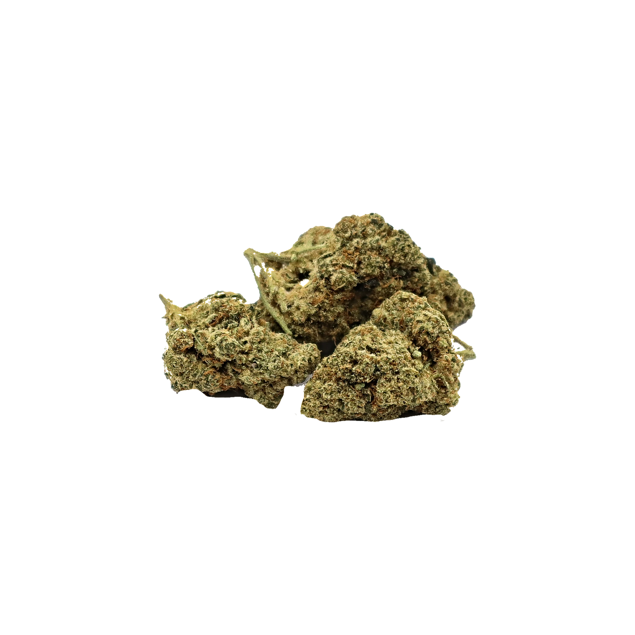 Amnesia Boost-K, fleur de CBD enrichie en cannabinoïdes K-Laxie, vue générale détourée