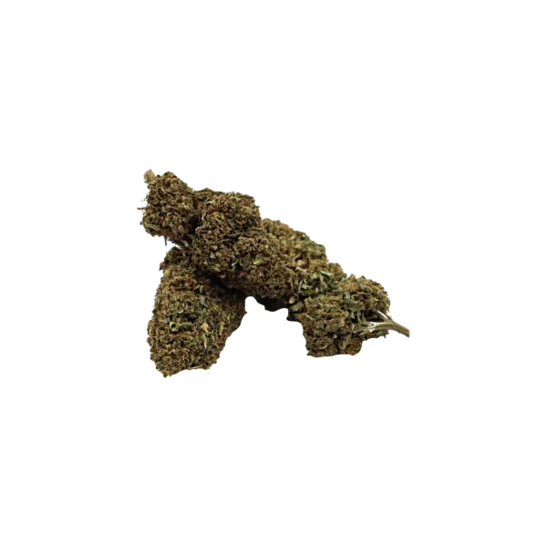 Black Domina Boost-K, fleur de CBD enrichie en cannabinoïdes K-Laxie, vue générale détourée