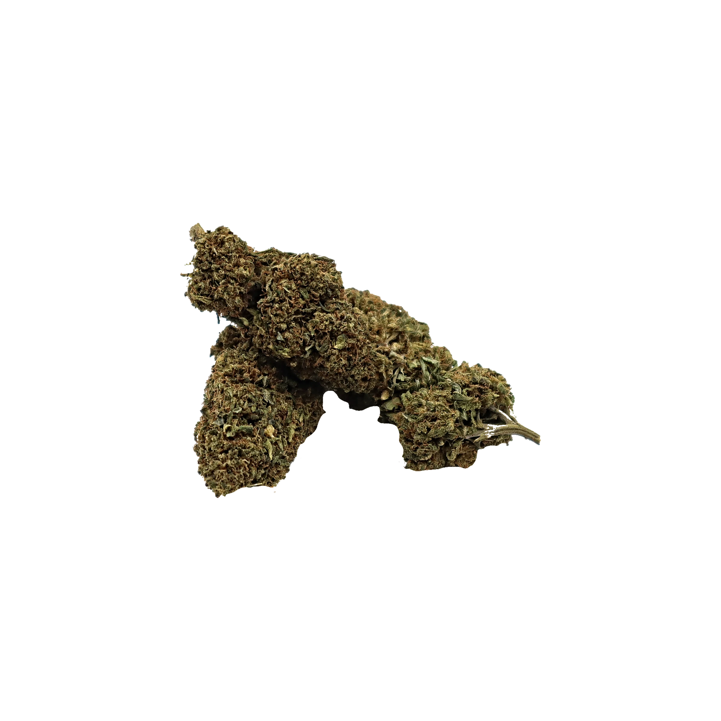 Black Domina Boost-K, fleur de CBD enrichie en cannabinoïdes K-Laxie, vue générale détourée