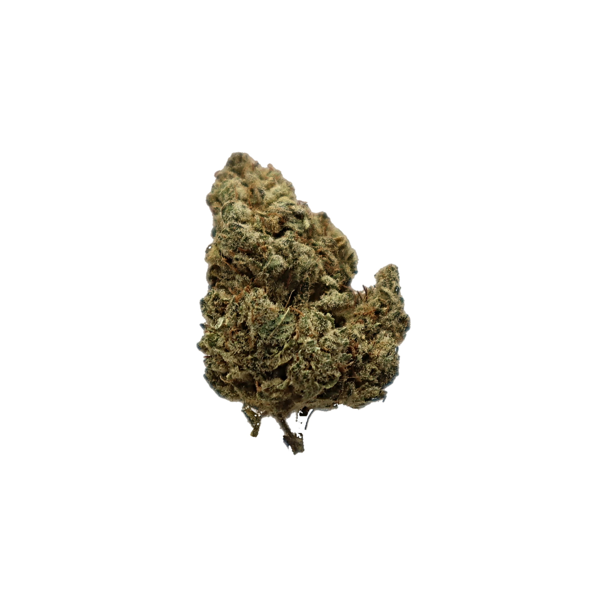 G13, fleur de CBD basic K-Laxie, détourée sur fond transparent