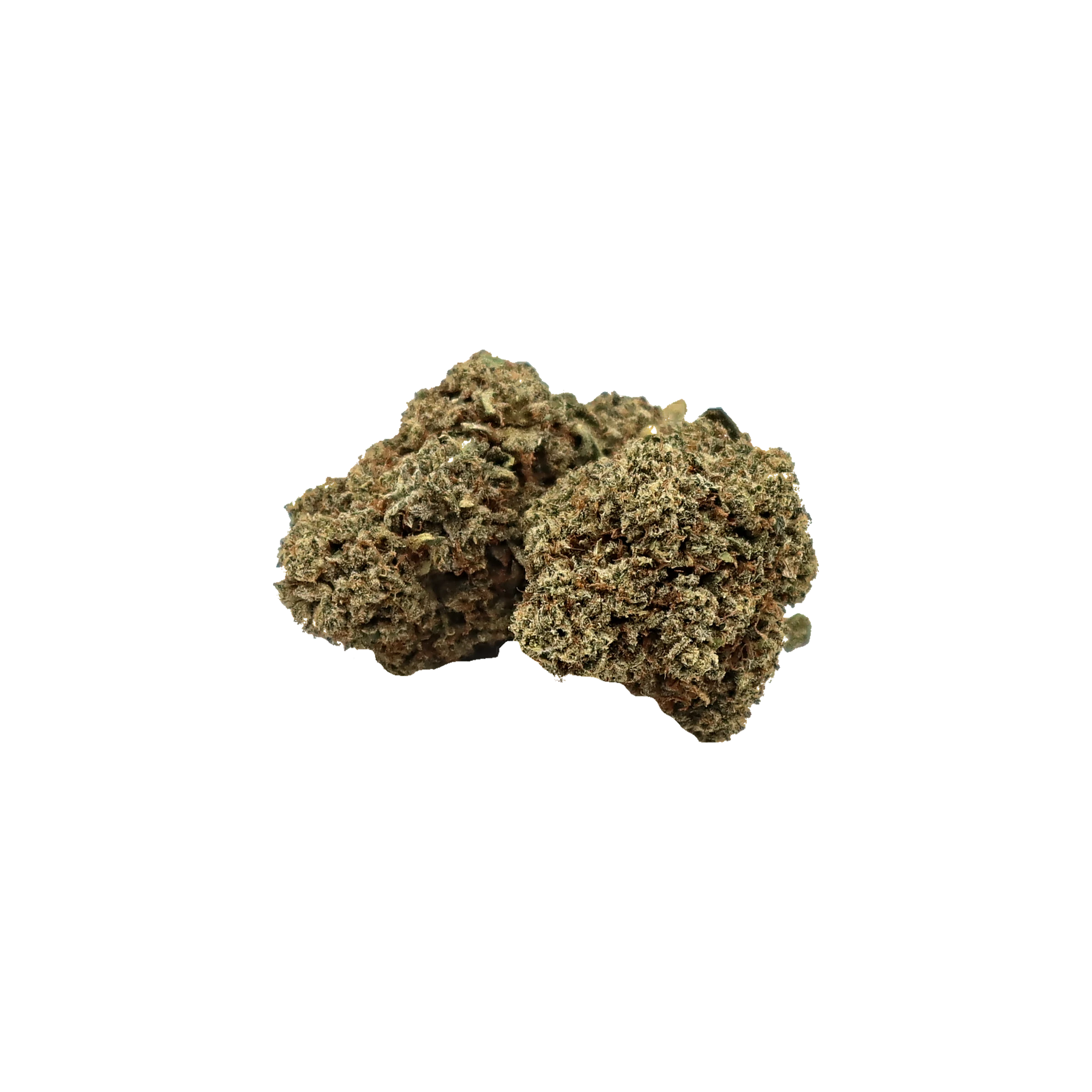 Kusher Kush Basic, fleur de CBD K-Laxie, vue générale détourée