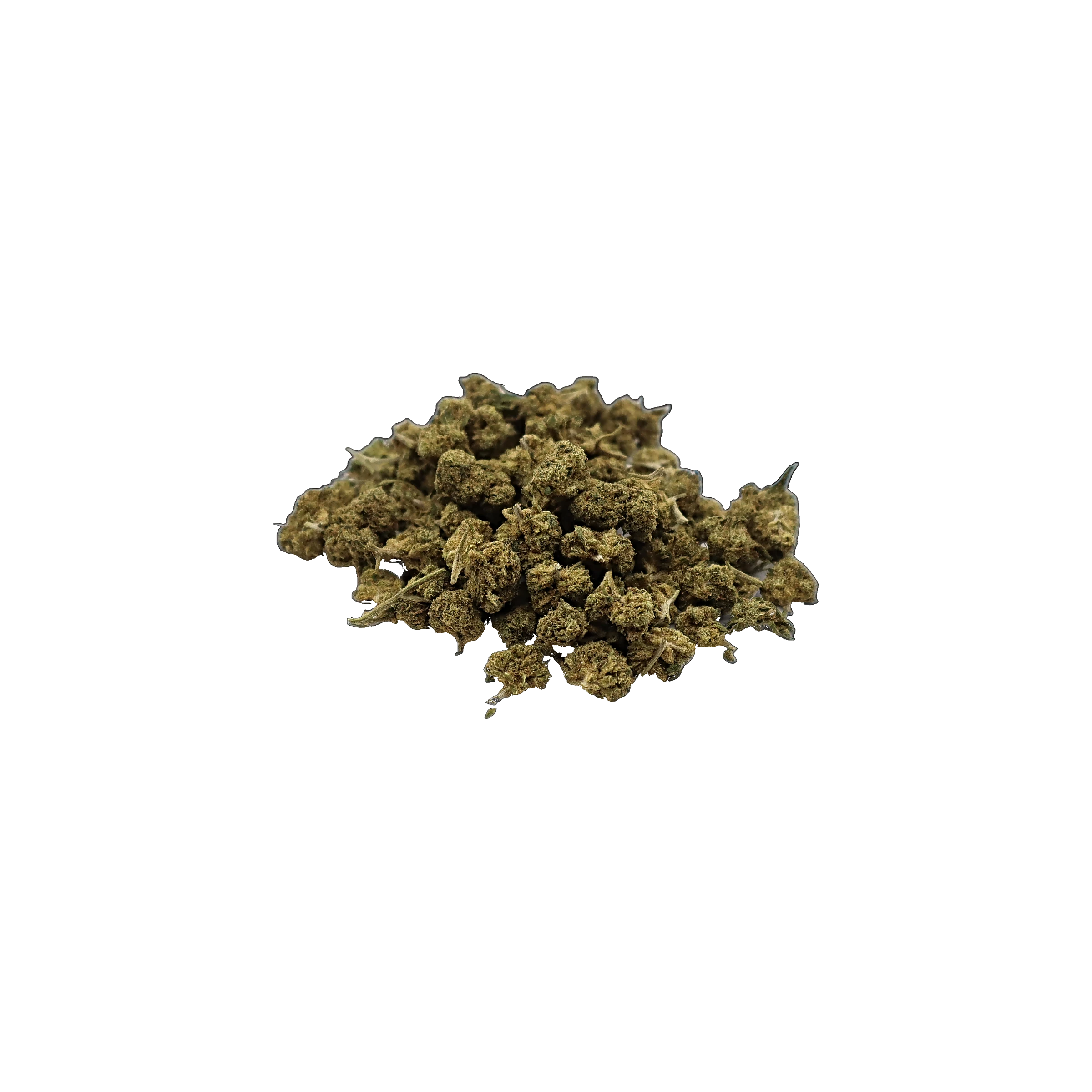 OG Kush, minibuds de fleur de CBD K-Laxie, vue générale détourée