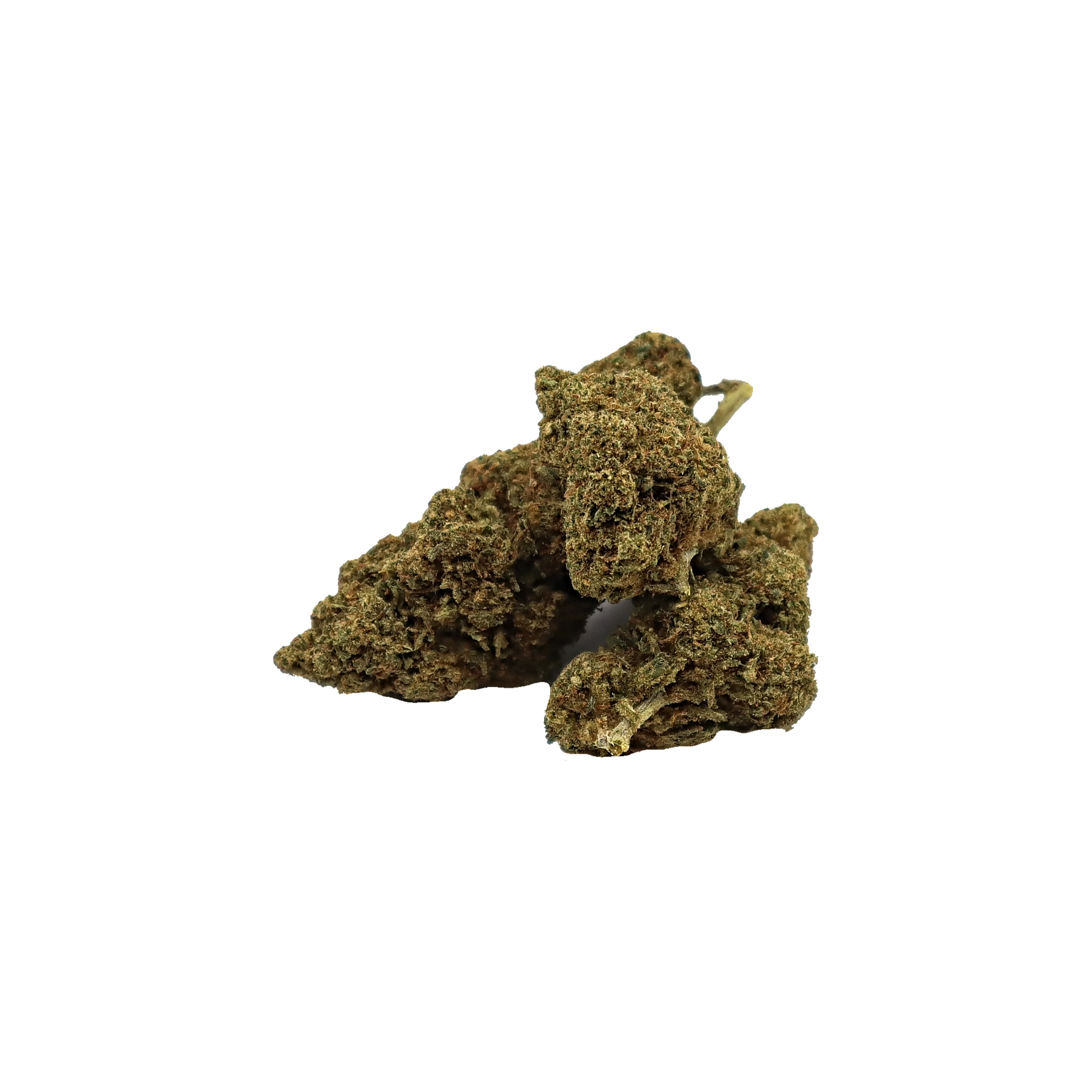 Orange Bud Boost-K, fleur de CBD enrichie en cannabinoïdes K-Laxie, vue générale détourée