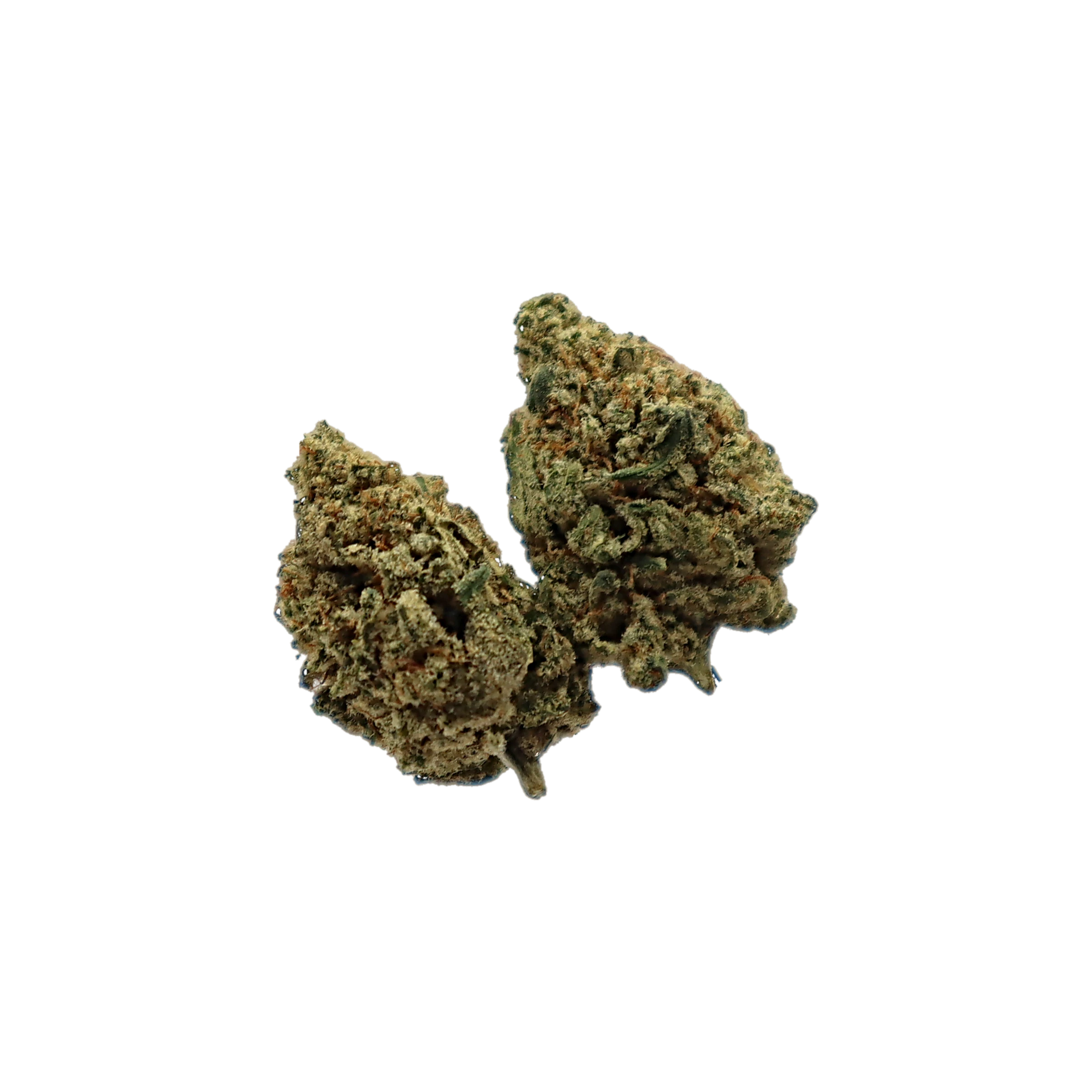 Payton Strawberry, fleur de CBD premium K-Laxie, détourée sur fond transparent