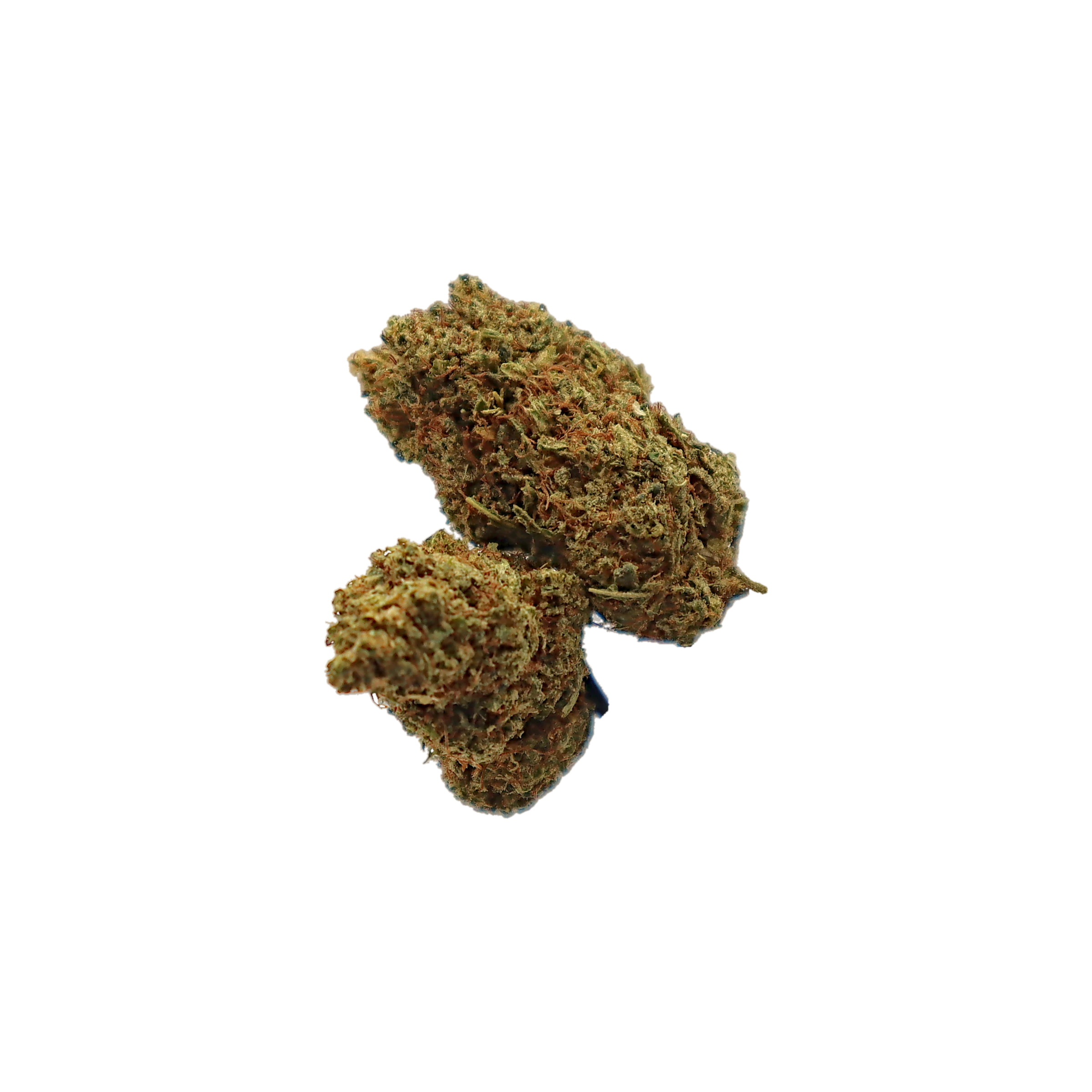 Super Lemon Haze, fleur de CBD Boost-K K-Laxie, détourée sur fond transparent