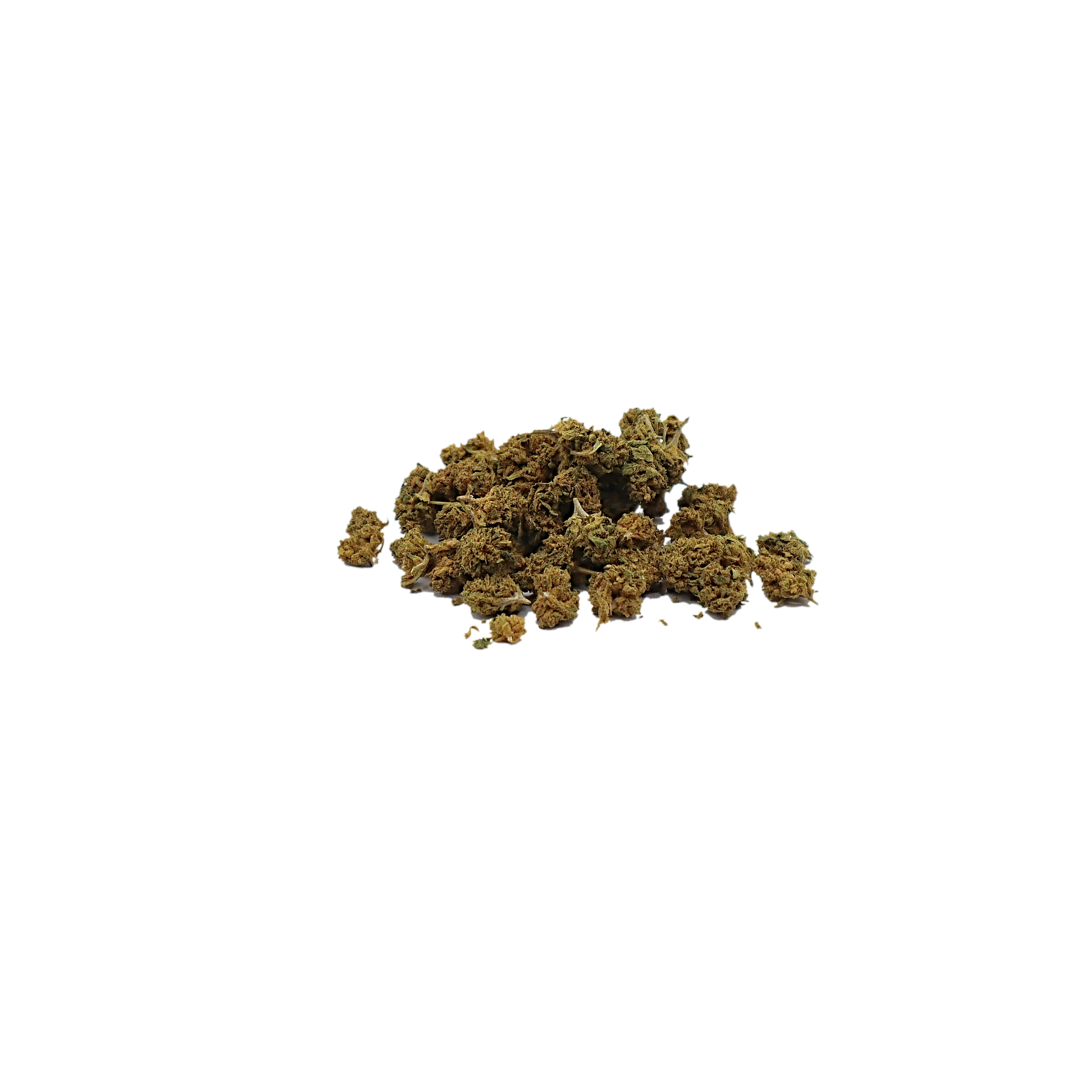 White Dog, minibuds de fleur de CBD K-Laxie, détourée sur fond transparent