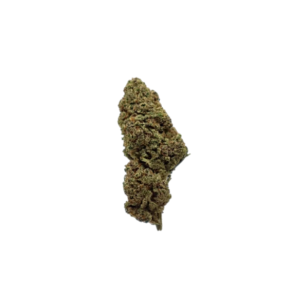 White Russian, fleur de CBD premium K-Laxie, détourée sur fond transparent